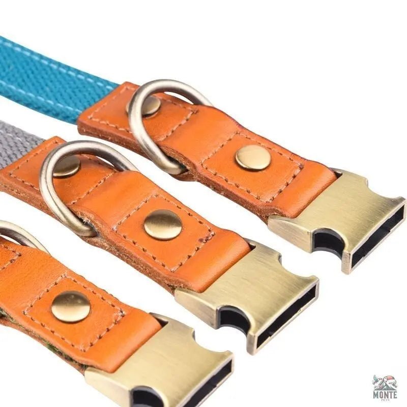 Komfort Klassik – Elegantes Hundehalsband aus Leder | MONTE PETS