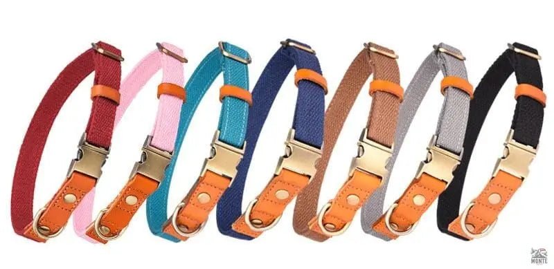 Komfort Klassik – Elegantes Hundehalsband aus Leder | MONTE PETS