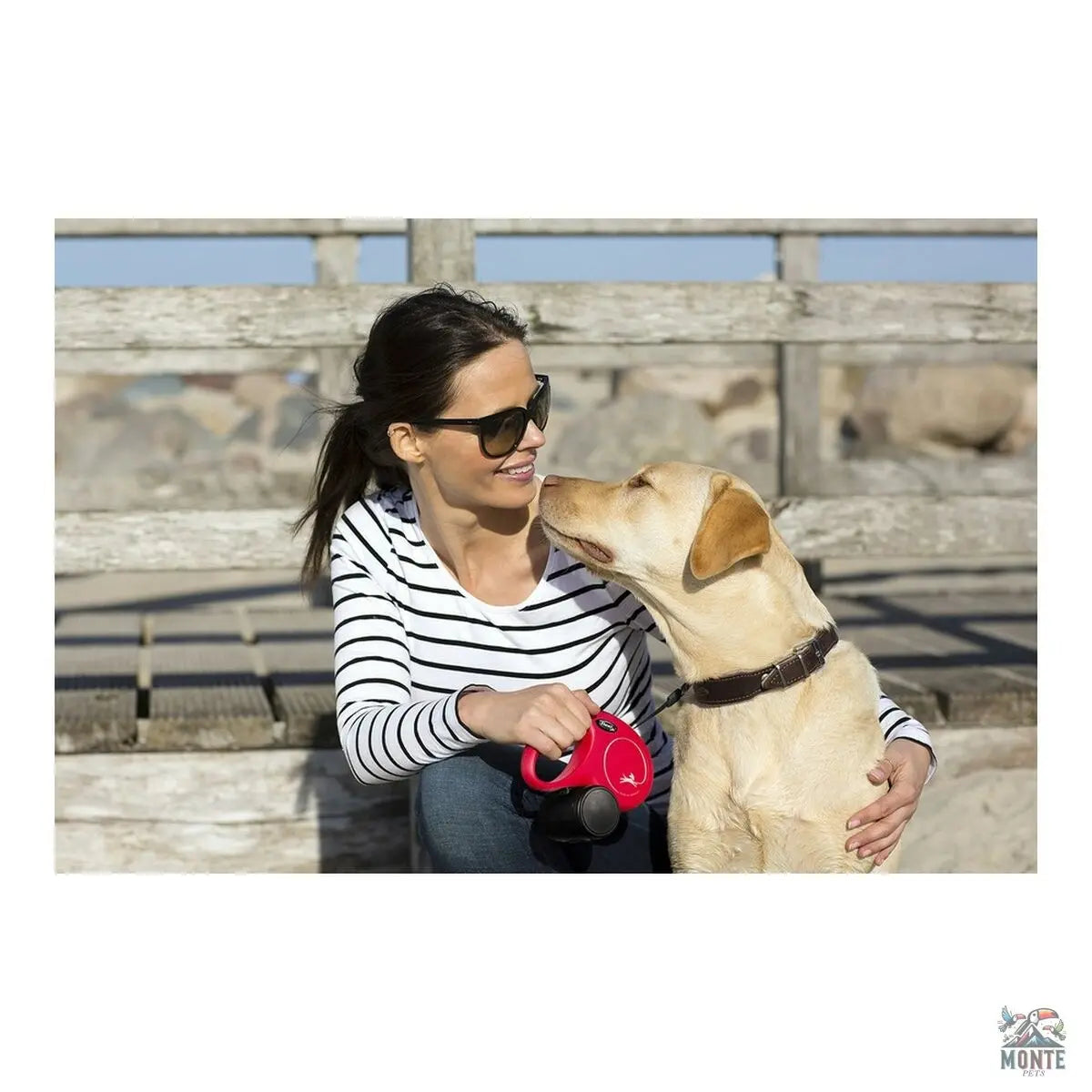 Hundeleine Flexi NEW CLASSIC 3m Blau XS-MONTE-PETS