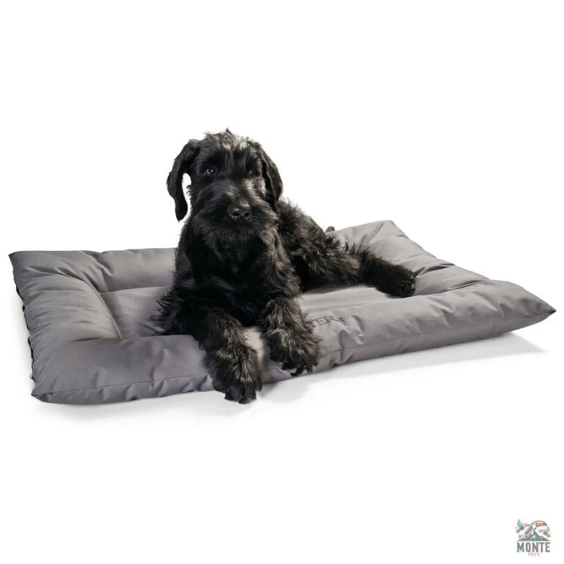 Hunter Classic – Hundebett Grau 100 x 70 cm | MONTE PETS