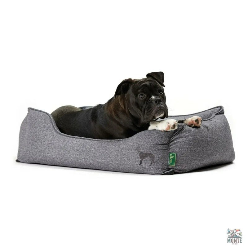HunterBoston – Hundesofa Grau 80 x 60 cm | MONTE PETS