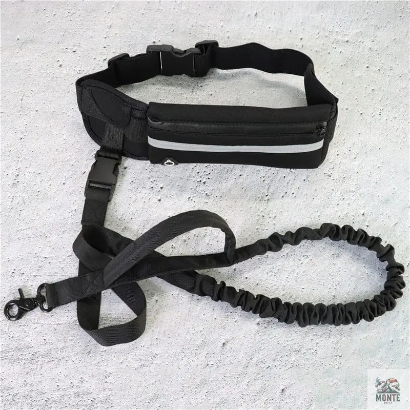 Hundeleine - Flexi-Freedom Hundesicherheit Blau 5m | MONTE PETS