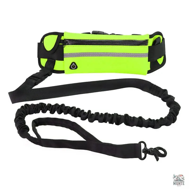 Hundeleine - Flexi-Freedom Hundesicherheit Blau 5m | MONTE PETS