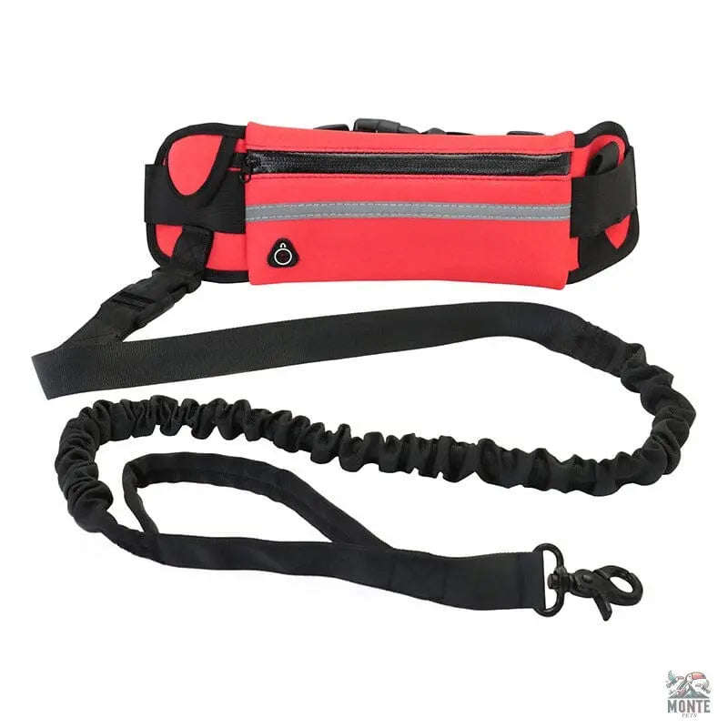 Hundeleine - Flexi-Freedom Hundesicherheit Blau 5m | MONTE PETS