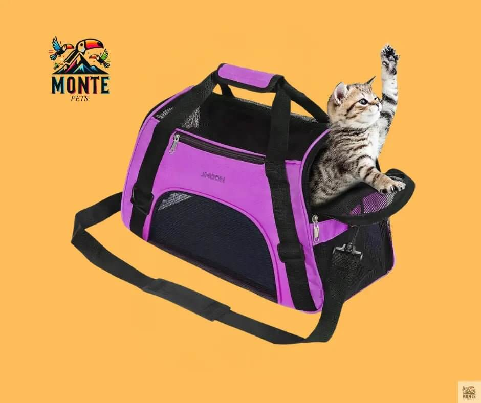 KatzenKomfort – Faltbare Katzentragetasche mit Belüftung | MONTE PETS