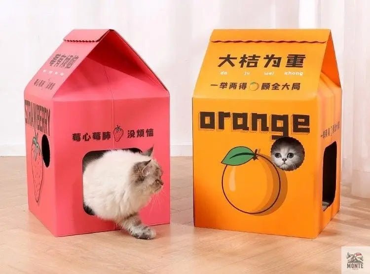 JuicyDream – Stylisches Katzenhaus aus Wellpappe | MONTE PETS