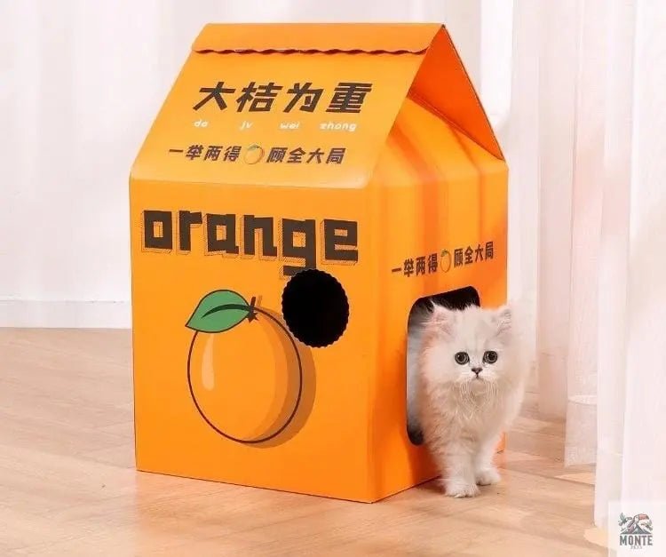 JuicyDream – Stylisches Katzenhaus aus Wellpappe | MONTE PETS