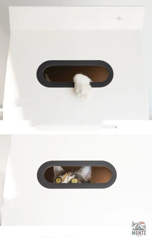 Purroom Relax – Modernes Katzenhaus mit Kratzfunktion | MONTE PETS