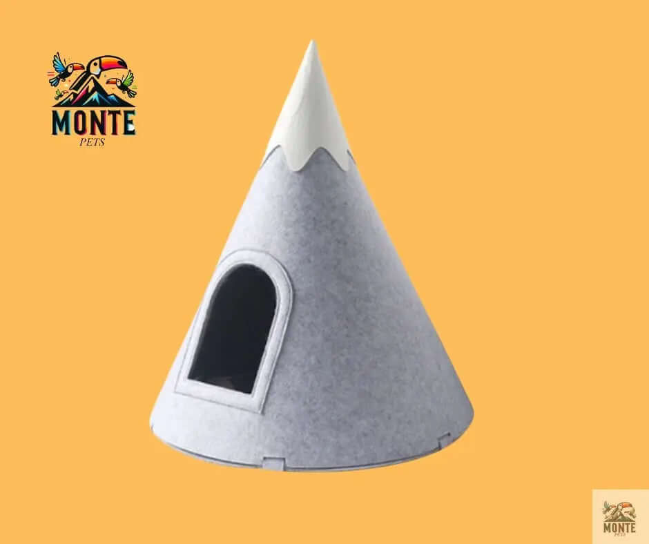 Katzenhöhle - SnowMountain