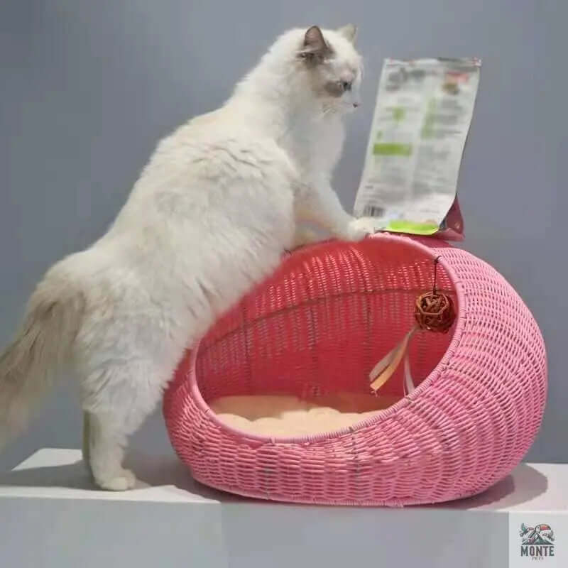 Katzenkorb - CosyNest