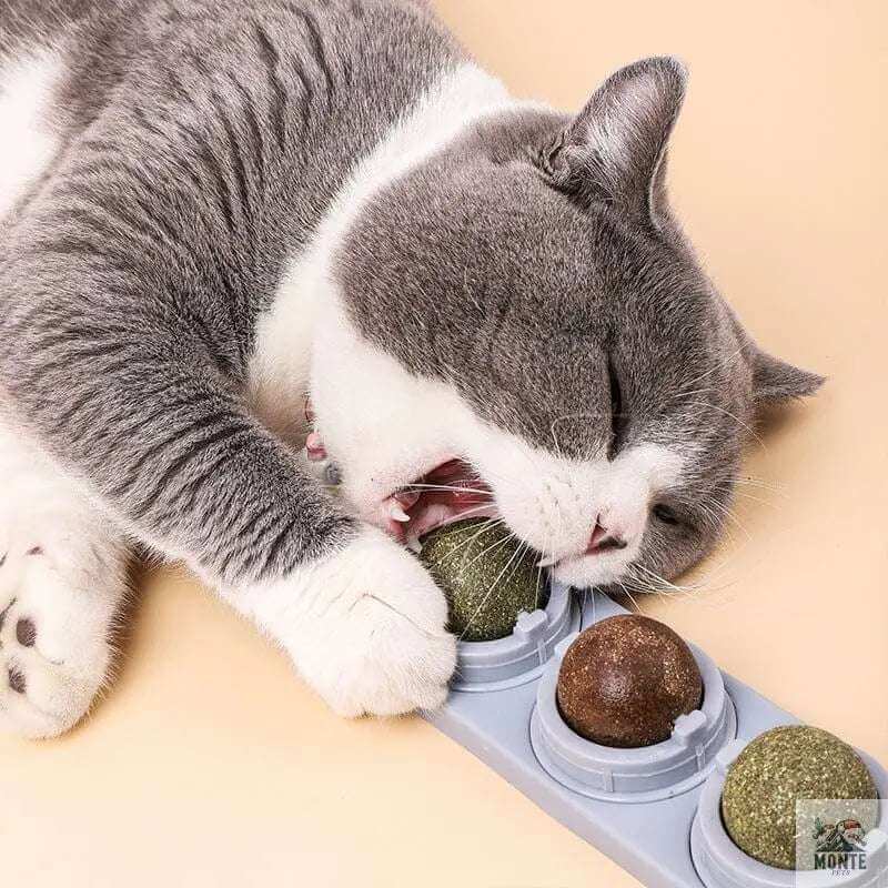 Lick & Play – Katzensnack mit Katzenminze und Spielstation | MONTE PETS