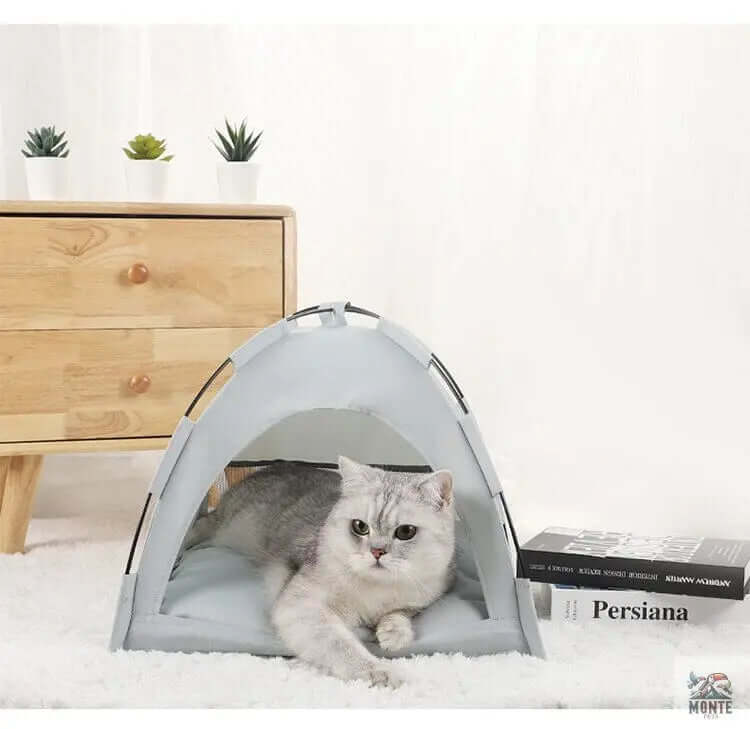 Katzenzelt - Campy Cozy