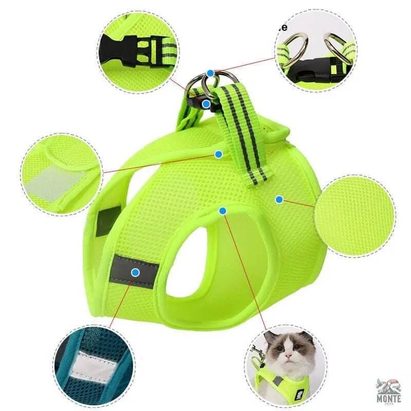 Dotty der Entdecker – Katzengeschirr mit Leine | MONTE PET