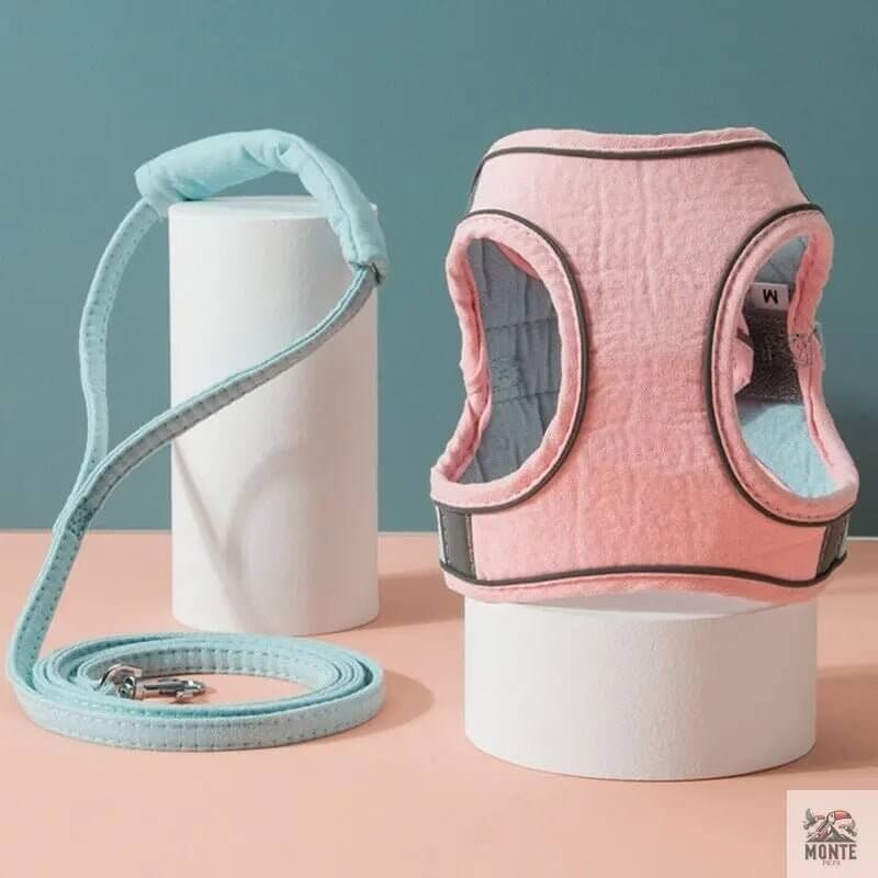 SafeWalk Plus – Verstellbares Katzengeschirr mit Leine für Katzen | MONTE PETS