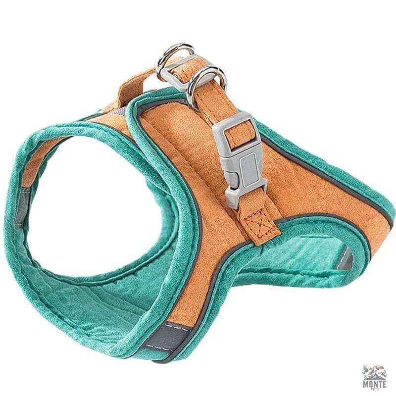 SafeWalk Plus – Verstellbares Katzengeschirr mit Leine für Katzen | MONTE PETS