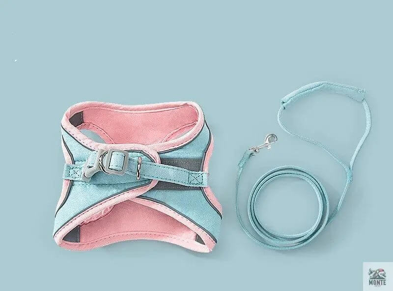 SafeWalk Plus – Verstellbares Katzengeschirr mit Leine für Katzen | MONTE PETS