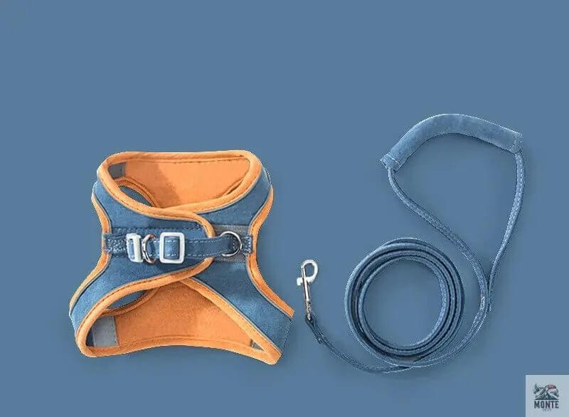 SafeWalk Plus – Verstellbares Katzengeschirr mit Leine für Katzen | MONTE PETS