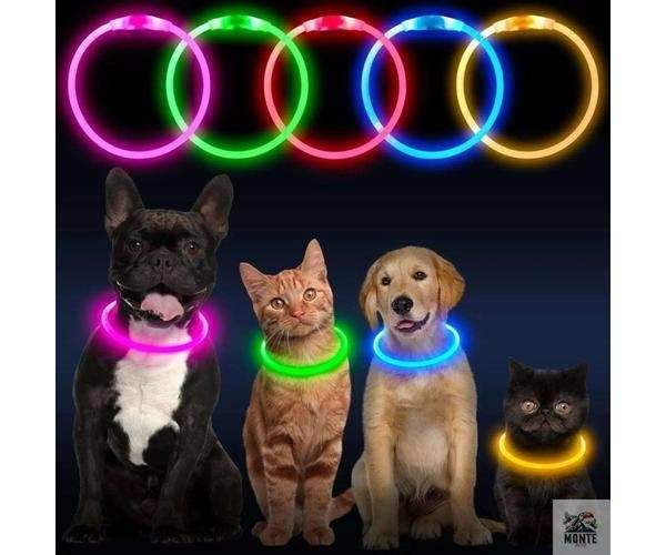LED Hundehalsband GlowSafe – leuchtender Schutz für deinen Vierbeiner | MONTE PETS