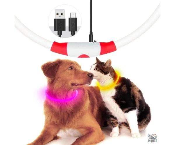 LED Hundehalsband GlowSafe – leuchtender Schutz für deinen Vierbeiner | MONTE PETS