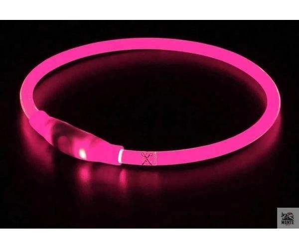 LED Hundehalsband GlowSafe – leuchtender Schutz für deinen Vierbeiner | MONTE PETS