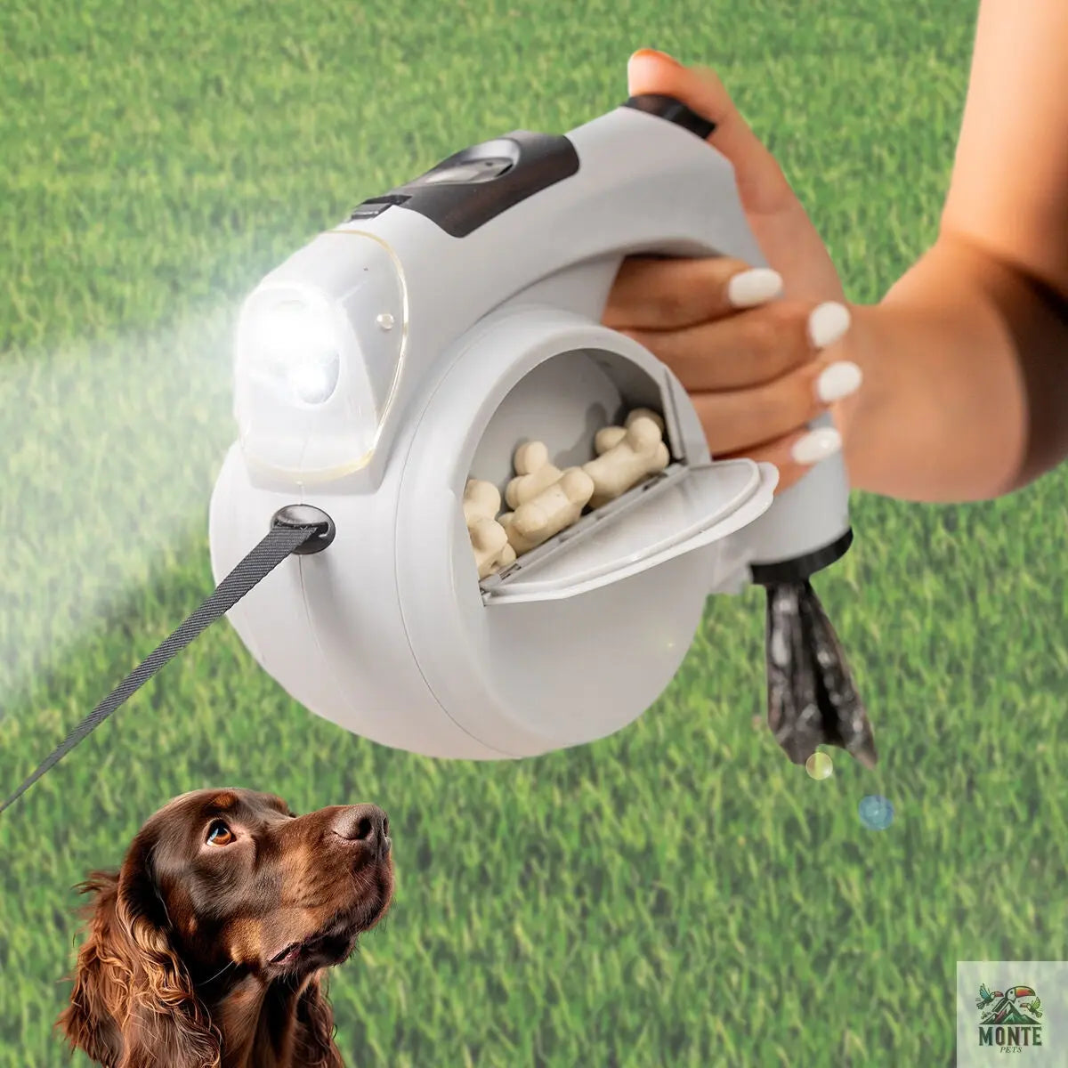 Leashic – 6-in-1 Hundeleine Grau Schwarz | MONTE PETS