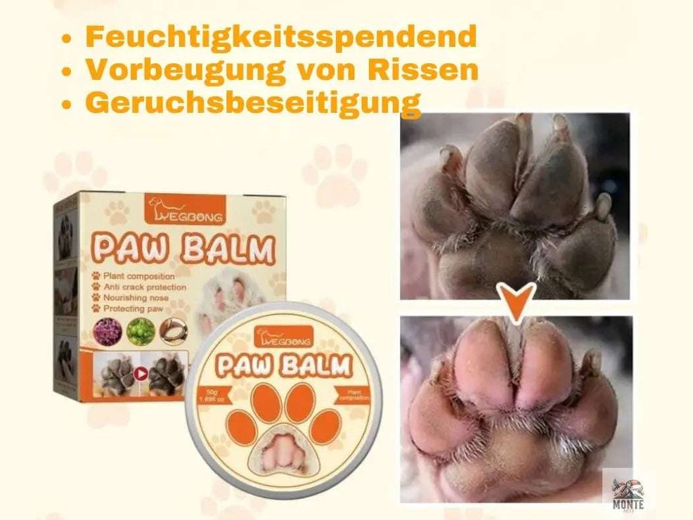 Pfotenbalsam NatureCare – Natürlicher Pfotenbalsam für Hunde und Katzen | MONTE PETS