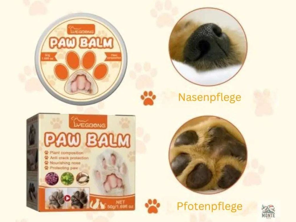 Pfotenbalsam NatureCare – Natürlicher Pfotenbalsam für Hunde und Katzen | MONTE PETS