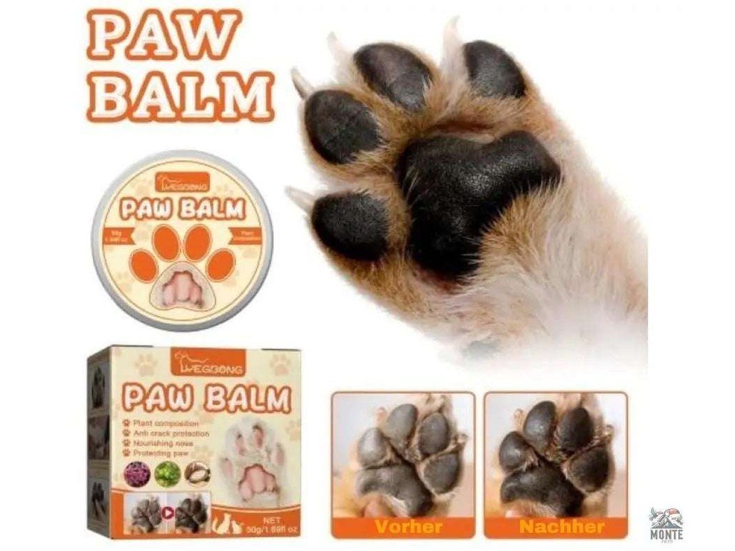 Pfotenbalsam NatureCare – Natürlicher Pfotenbalsam für Hunde und Katzen | MONTE PETS
