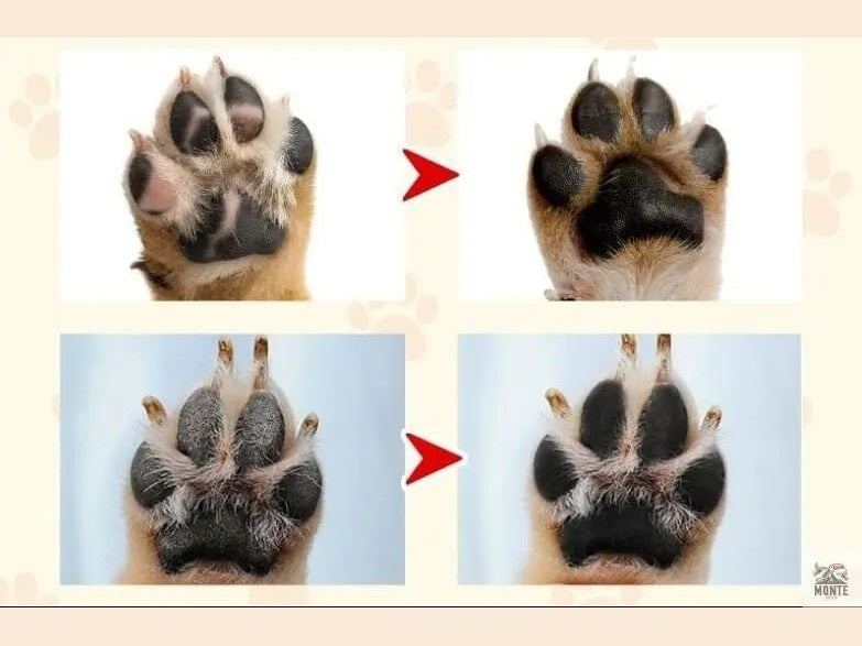 Pfotenbalsam NatureCare – Natürlicher Pfotenbalsam für Hunde und Katzen | MONTE PETS
