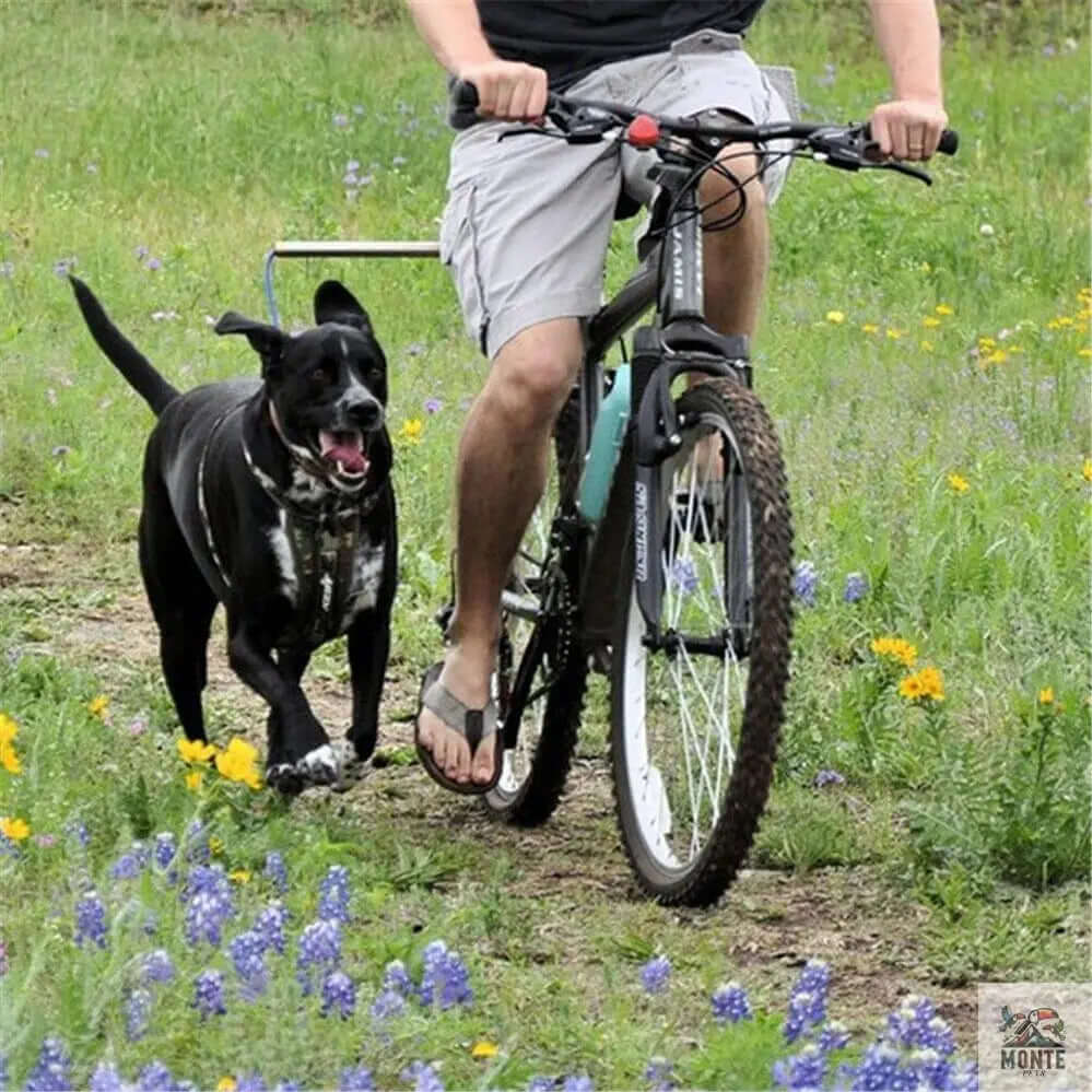 Premium Hunde-Zugleine - BlackPower