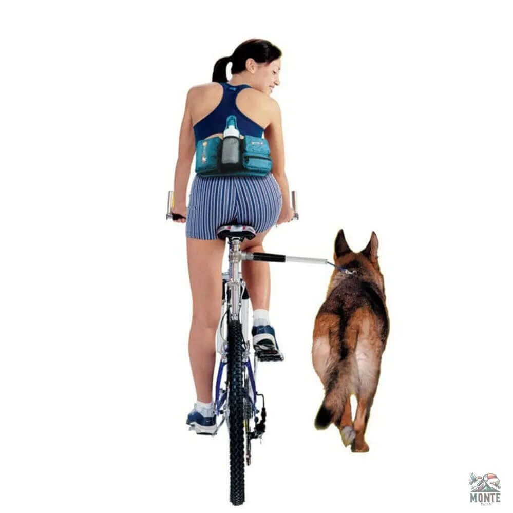 Premium Hunde-Zugleine - BlackPower