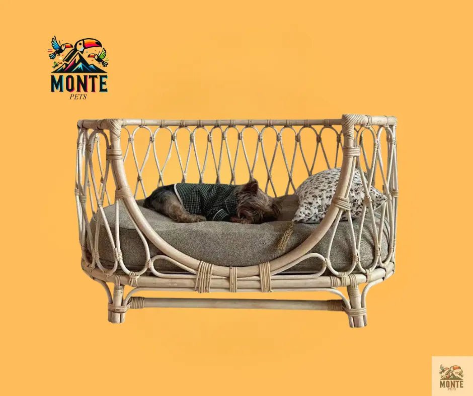RattanLounge – Rattan Haustierbett mit Kissen | MONTE PETS