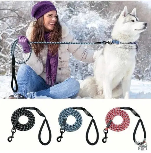 Robuste Hundeleine | MONTE PETS