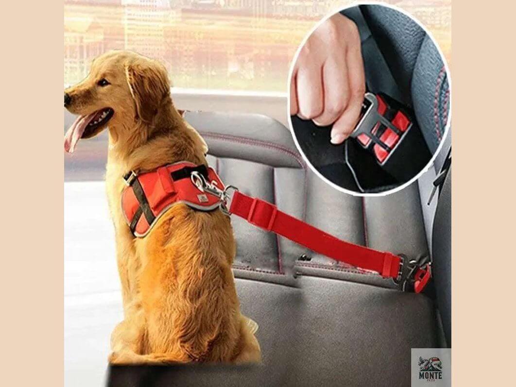 SafeRide Pro – Verstellbarer Sicherheitsgurt für Hunde im Auto | MONTE PETS