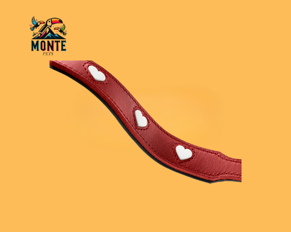 Hunter Love – Einstellbare Hundeleine Rot 2 m aus Nylon | MONTE PETS