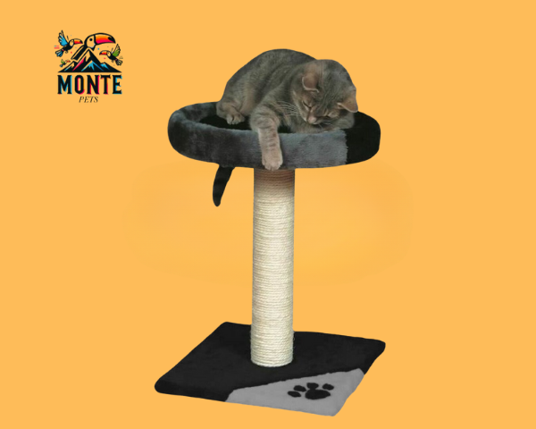 Kratzbaum für Katzen Trixie Schwarz/Grau Sisal 52 cm | MONTE PETS