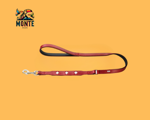 Hunter Swiss – Hundeleine Leder 100 cm in Rot/Schwarz | MONTE PETS
