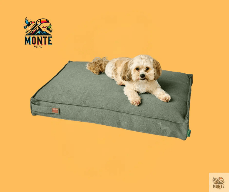 BellunoRelax – Hundebett grün 100 x 70 cm mit flacher Liegefläche | MONTE PETS