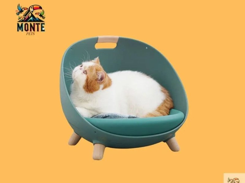 Gemütliches Kuschelnest – Bett für Katzen & kleine Hunde | MONTE PETS
