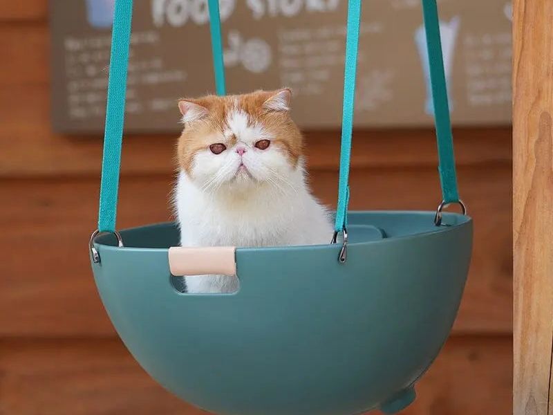 Gemütliches Kuschelnest – Bett für Katzen & kleine Hunde | MONTE PETS