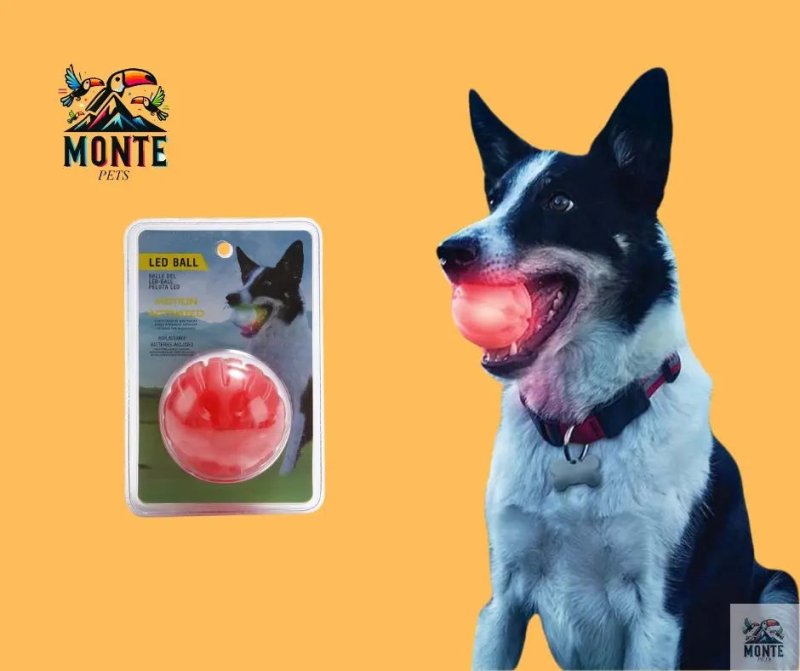 GlowBuddy – Leuchtball für Hunde in 3 Größen & 6 Farben | MONTE PETS