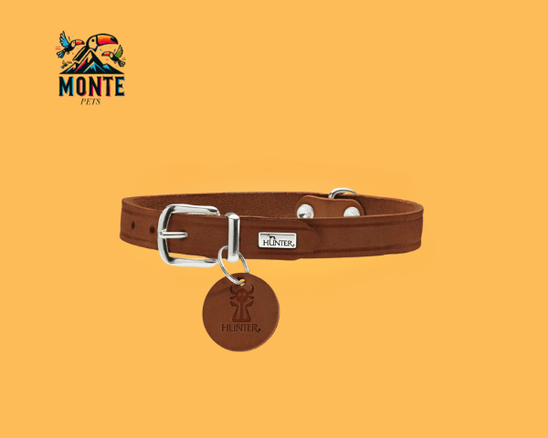 Hundehalsband Hunter Aalborg Braun XS/S 28-33 cm für kleine Hunde von MONTE PETS