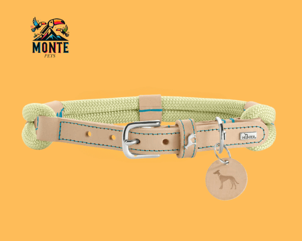 Hundehalsband Hunter MALIA Grün 50-59 cm | MONTE PETS