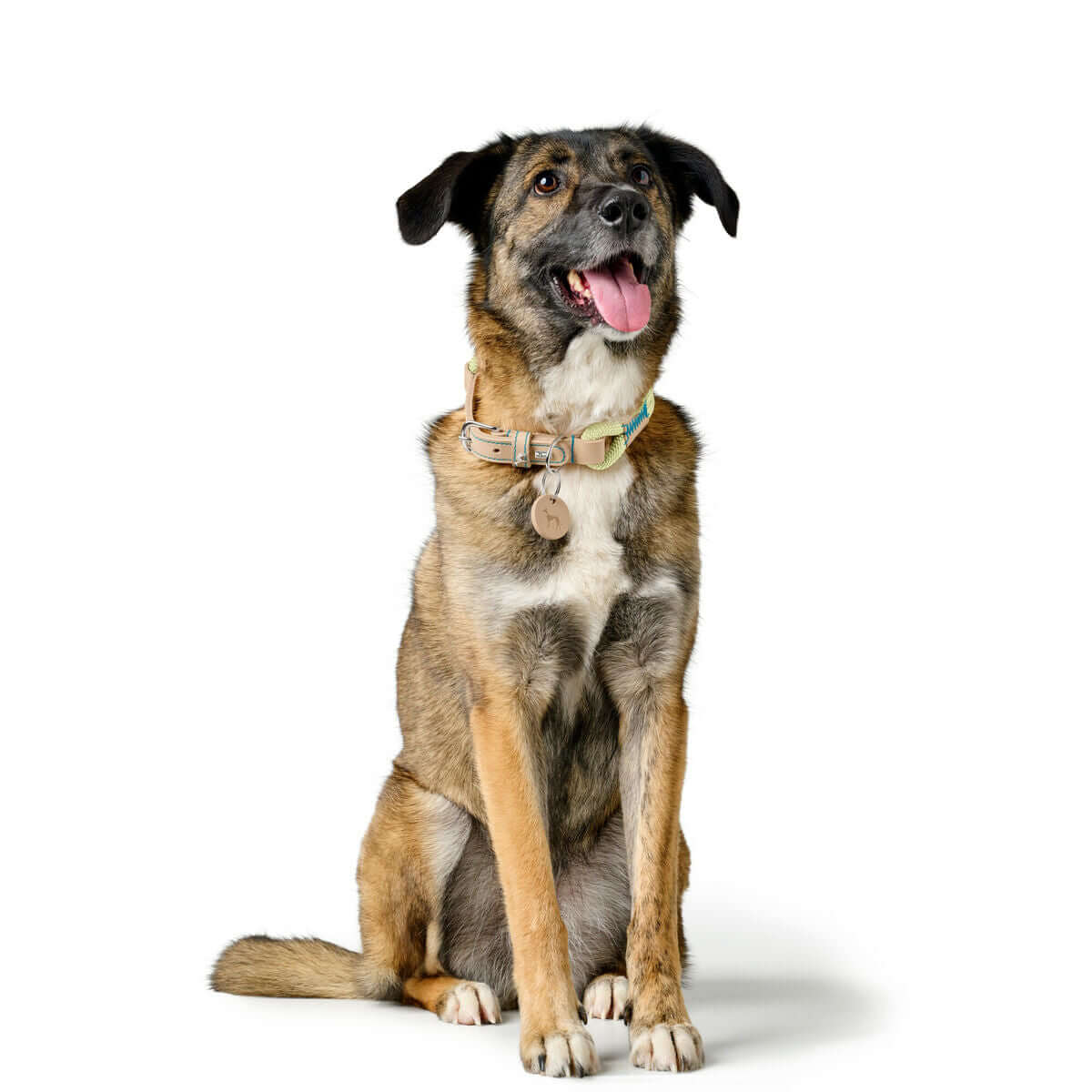 Hundehalsband Hunter MALIA Grün 50-59 cm | MONTE PETS