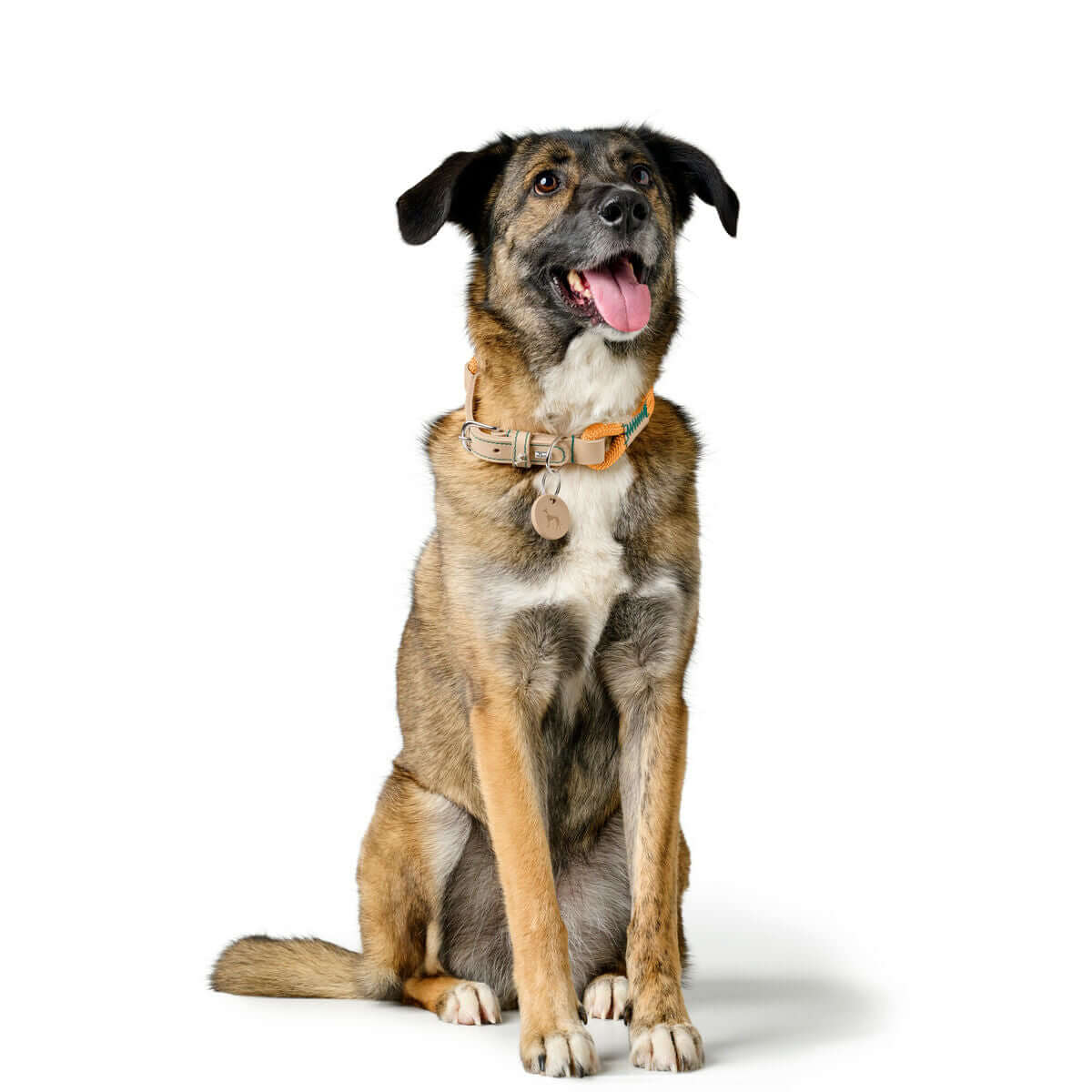 Hundehalsband Hunter MALIA Orange 45-54 cm | MONTE PETS