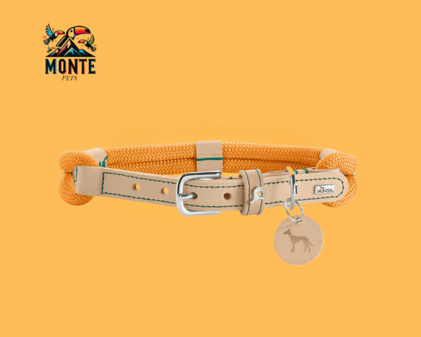 Hundehalsband Hunter Malia Orange 35-44 cm von MONTE PETS, robust und stilvoll für Hunde, ideal für Alltag und Outdoor.