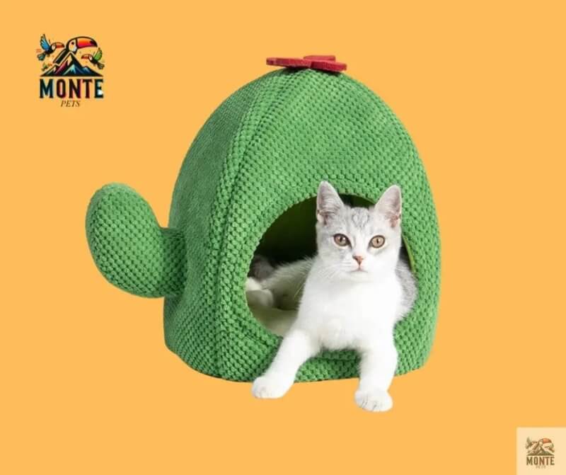 Kaktus Kuschelhöhle – Rückzugsort für Katzen & kleine Hunde | MONTE PETS