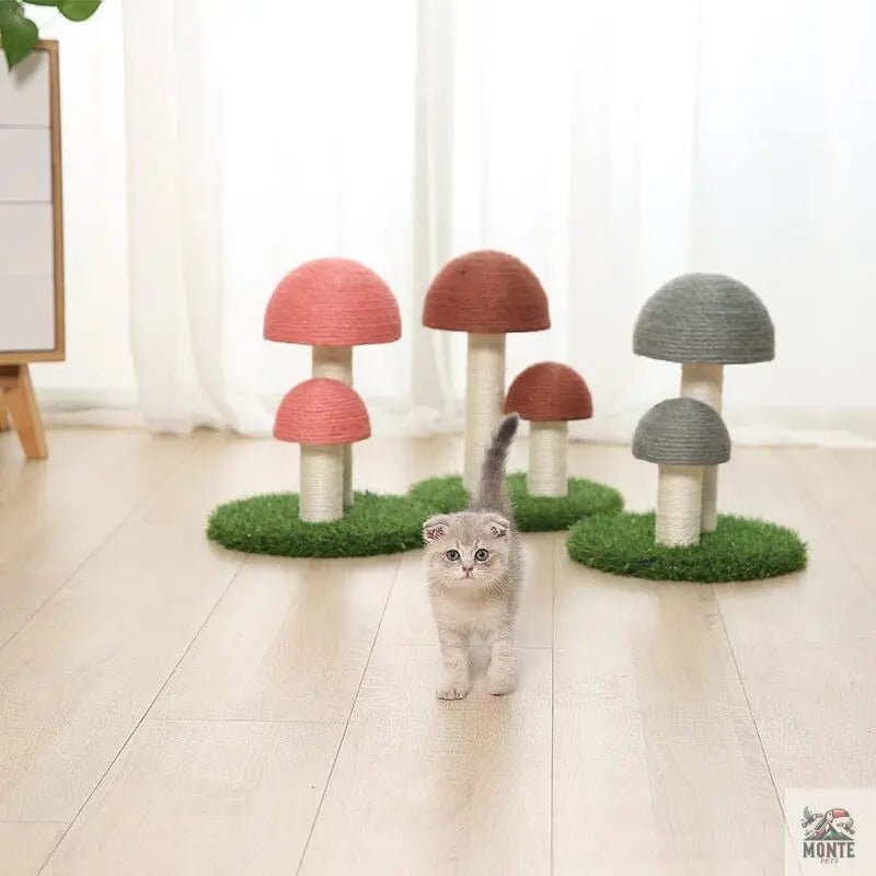 Kratzbaum – Mushroom Delight Kaffeebraun M/L | MONTE PETS