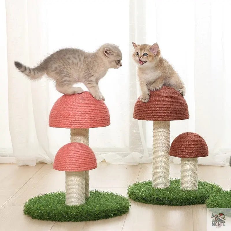 Kratzbaum – Mushroom Delight Kaffeebraun M/L | MONTE PETS