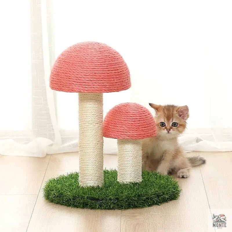 Kratzbaum – Mushroom Delight Kaffeebraun M/L | MONTE PETS